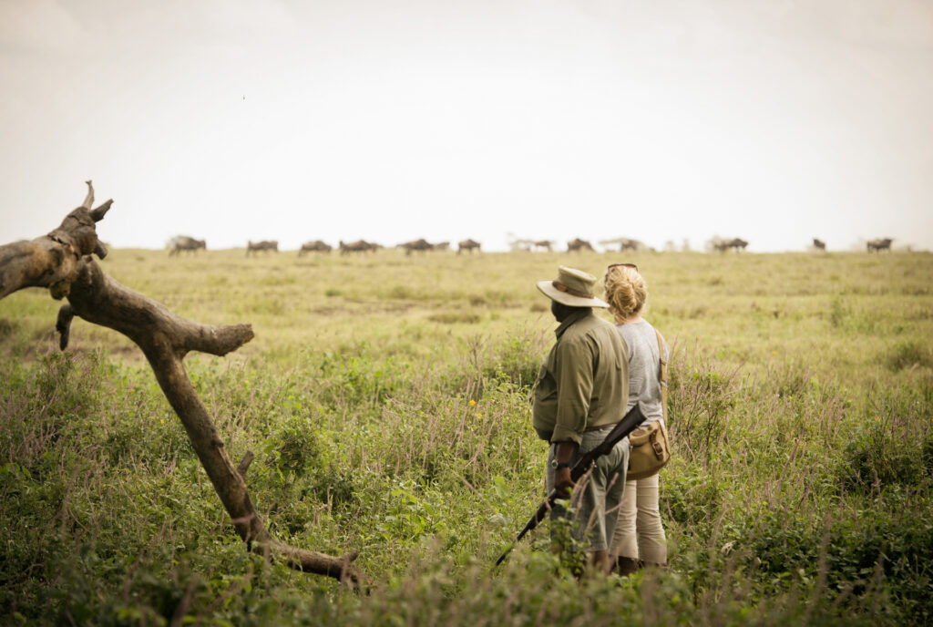 Walking Safari Adventure