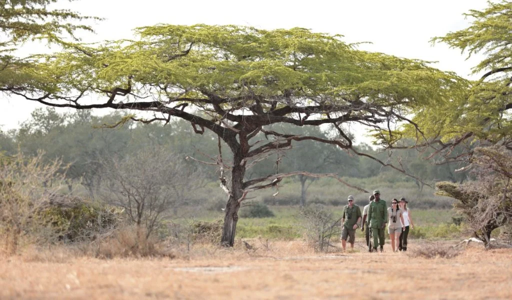 Ruaha Walking Safari