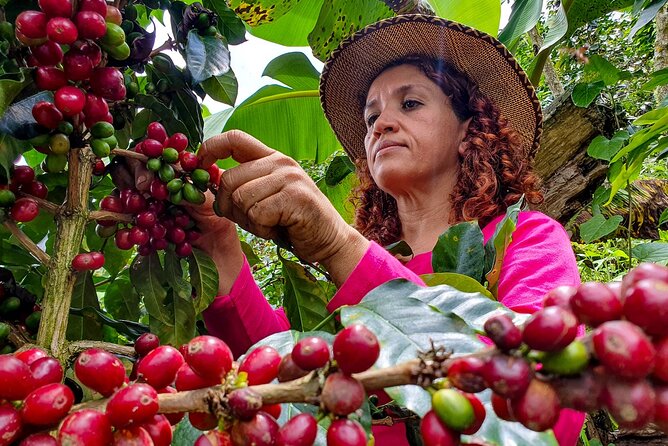 Coffee Tour Arusha