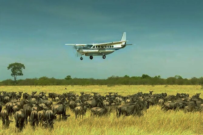 Southern Tanzania safari combined with a Zanzibar beach holiday