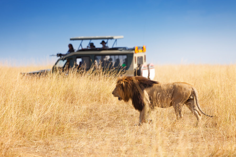 10-Day Tanzania Safari & Zanzibar Beach Escape (Serengeti, Ngorongoro & Zanzibar)