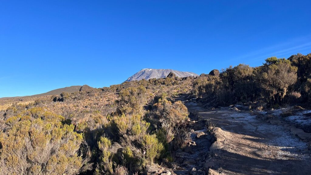 Kilimanjaro Climbing – Marangu Route 5 Days