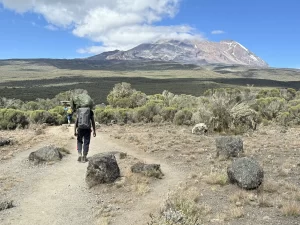 shira route kilimananjaro