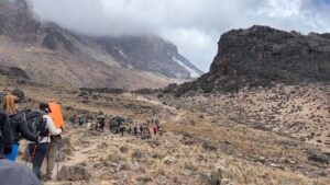 lemosho route kilimanjaro