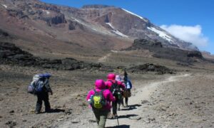 rongai route kilimanjaro climbing